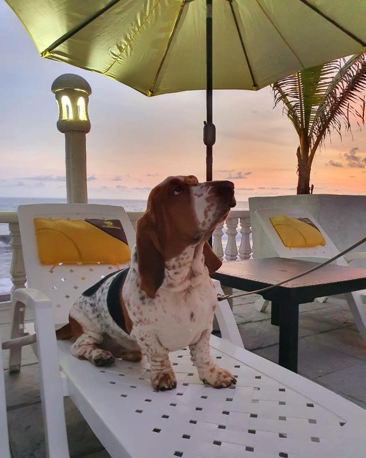 Hotel La Casona Beach El Guayabo Экстерьер фото